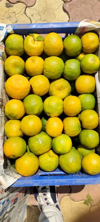 Santra uploaded by Fruit merchant on 1/18/2022