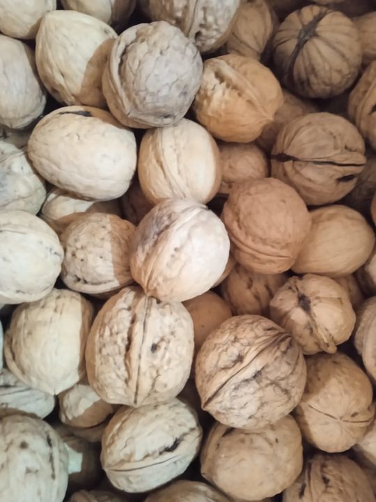 Fresh walnuts uploaded by business on 1/20/2022
