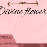 Business logo of Divine flower