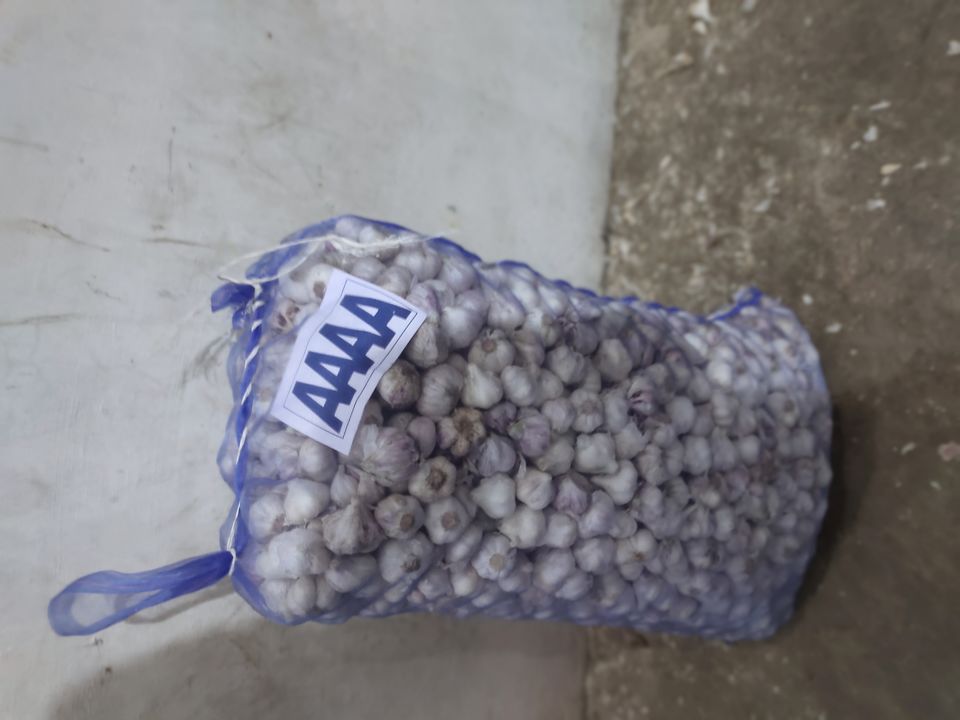 Ooty seed garlic uploaded by Vinay tarding com Dalauda mandi mp. on 1/20/2022