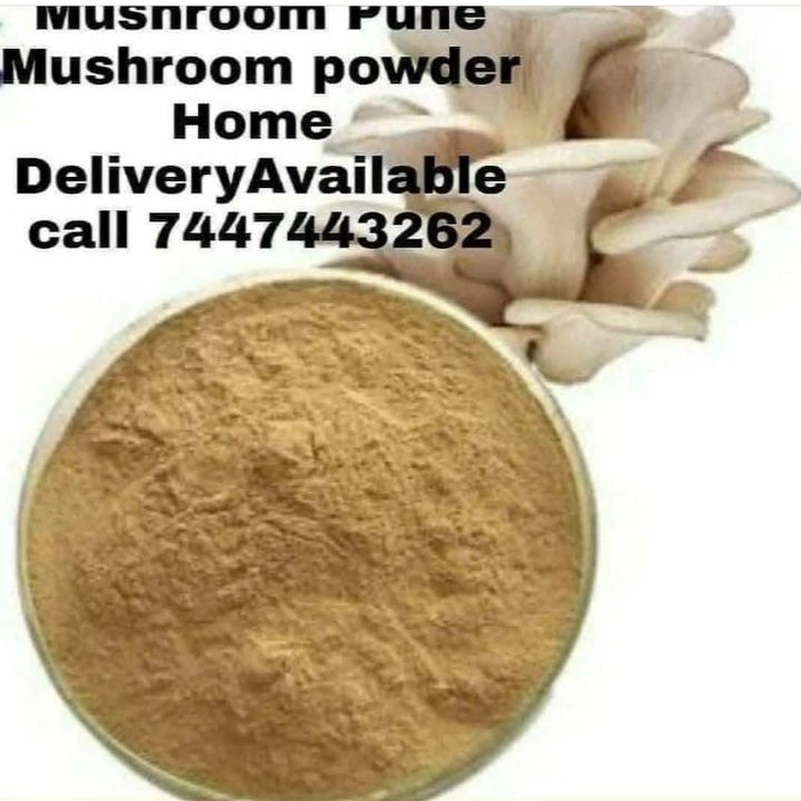 Oysters mushroom powder uploaded by Annapurna mushroom pune on 1/22/2022