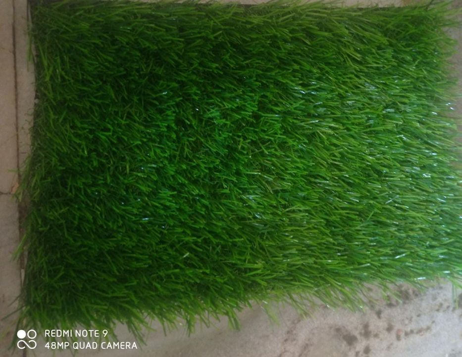 Artificial Grass uploaded by SHREE RD COLLECTION on 1/22/2022
