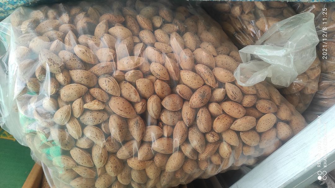 Almond  uploaded by Saffron/ kesar and all dryfruits on 1/25/2022