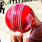 Business logo of tekken cricket