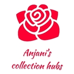 Business logo of Anjani's collection hubs