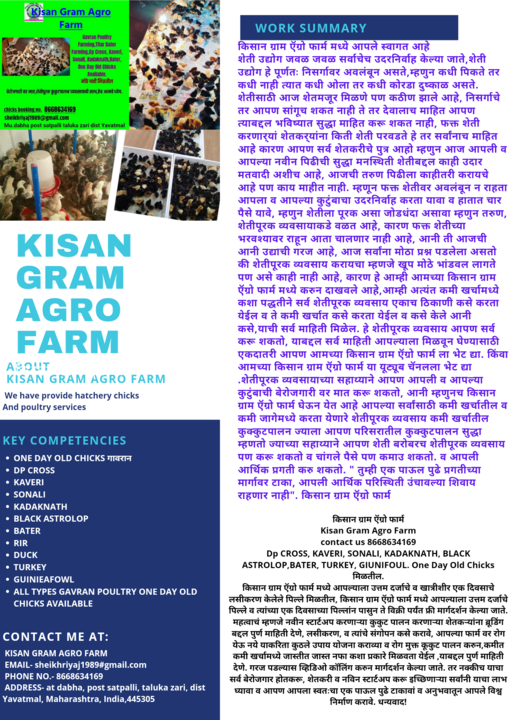 Sonali Desi chicks uploaded by Kisan Gram Agro Farm on 1/28/2022