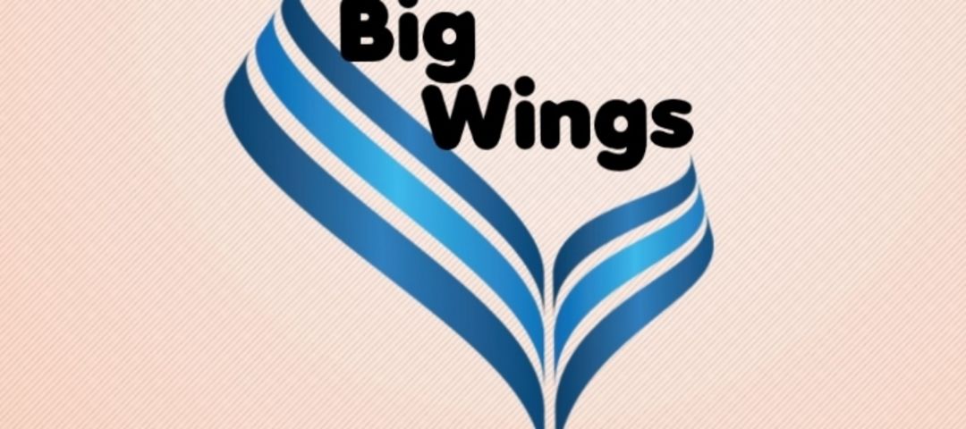 Factory Store Images of Big Wings
