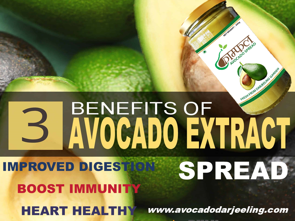 Avocado spread 450gm uploaded by SAPE EVENTS AND MEDIA PRIVATE LIMITED on 1/29/2022