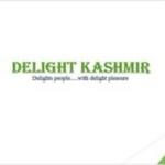Business logo of Delight Kashmir