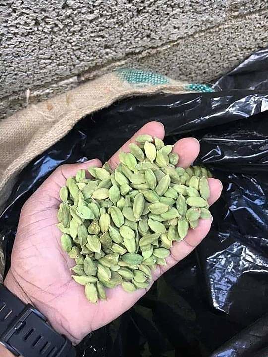 Green cardamom  uploaded by business on 6/10/2020