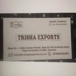 Business logo of Trisha exports