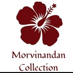 Business logo of Morvinandan collection