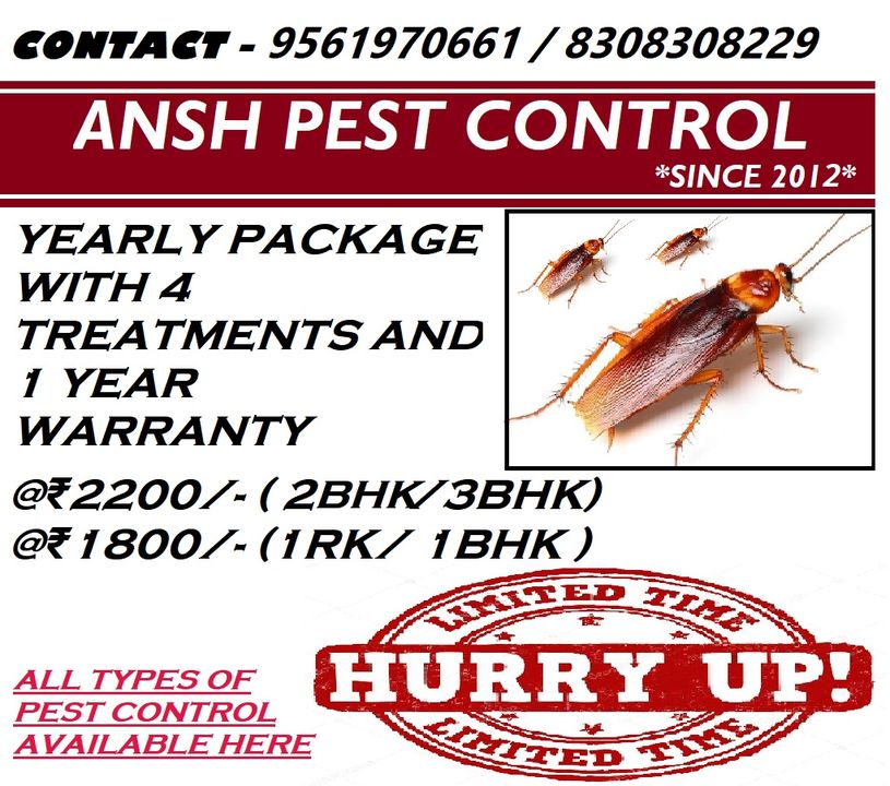 Pest control services uploaded by Ansh service on 1/30/2022