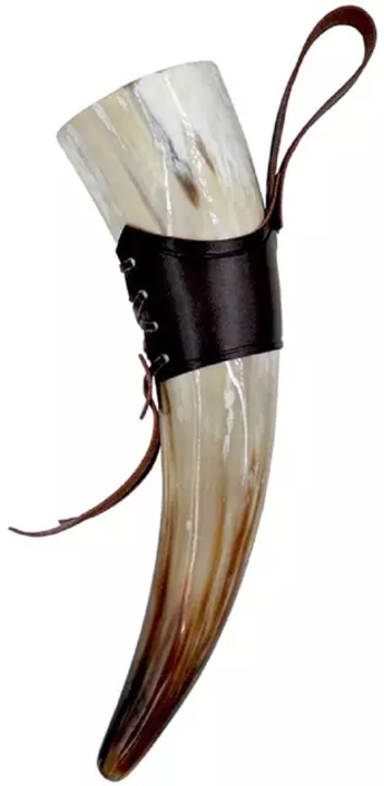 Drinking horn  uploaded by business on 1/31/2022
