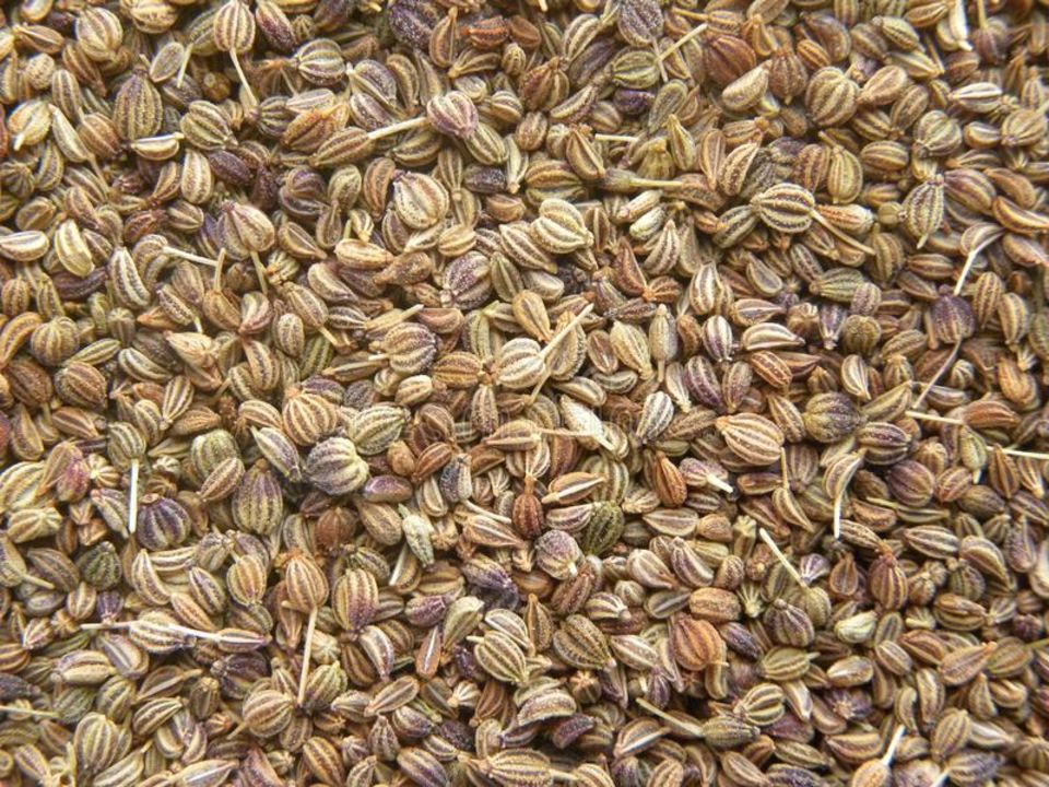 Ajwain (carom seeds) uploaded by Himauli masaale and Mills private l on 1/31/2022