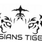 Business logo of Asian Tigers