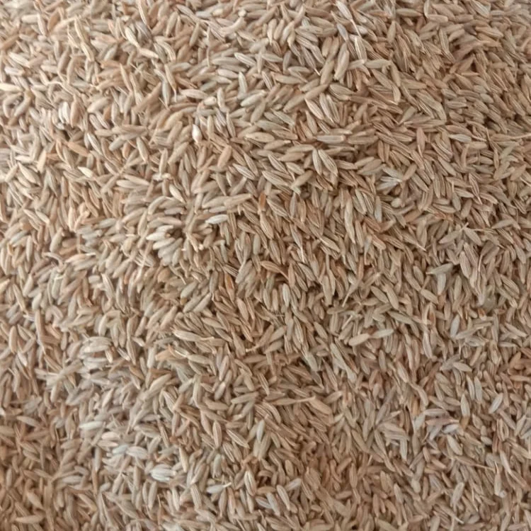 Cumin seeds (jeera) uploaded by Aashapura Trading company  on 2/2/2022