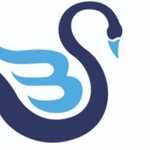 Business logo of The Shyama Creation