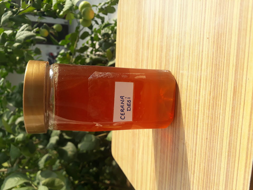 Cerana desi honey  uploaded by Kavery organic honey  on 2/5/2022