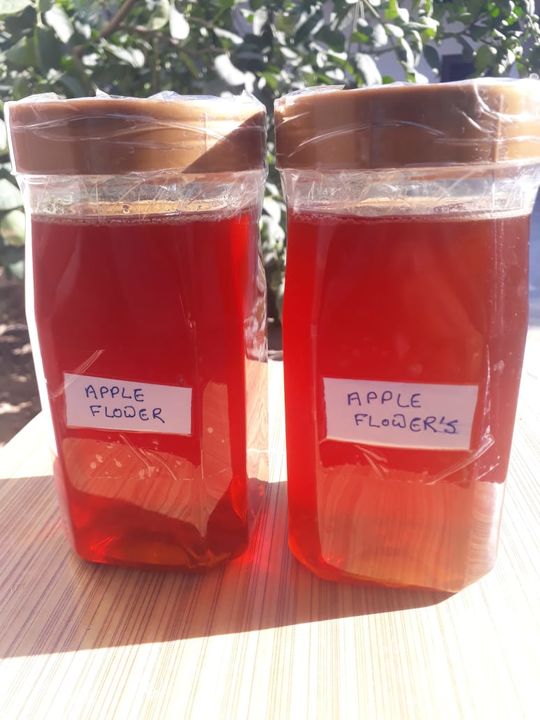 Apple flowers honey  uploaded by Kavery organic honey  on 2/5/2022