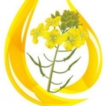 Business logo of Sarso