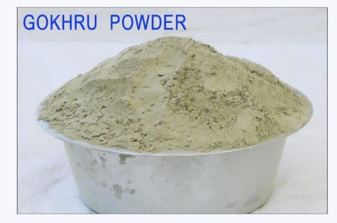 Gokhru powder uploaded by Trisha exports on 2/5/2022
