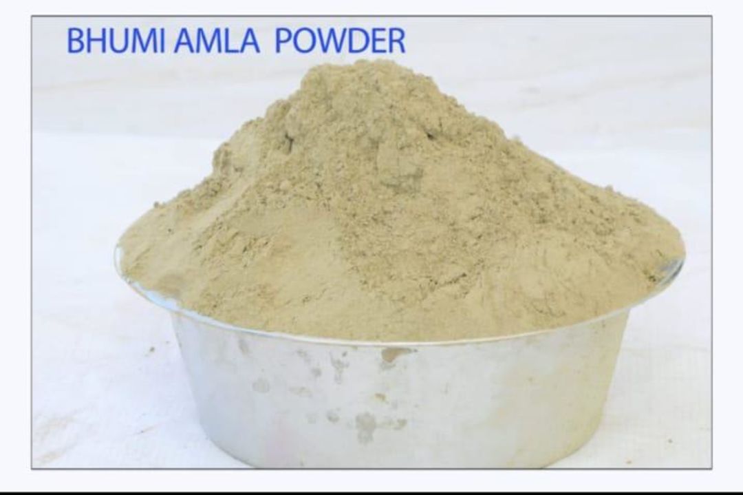 Bhui amla powder uploaded by Trisha exports on 2/5/2022