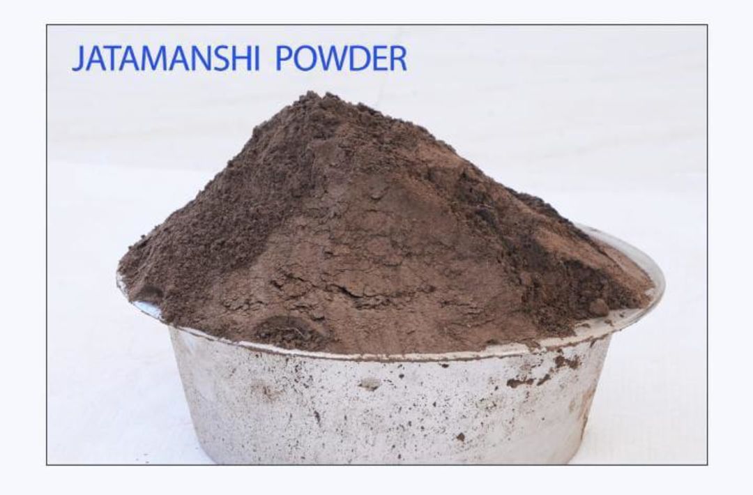 Jatmansi powder uploaded by Trisha exports on 2/5/2022
