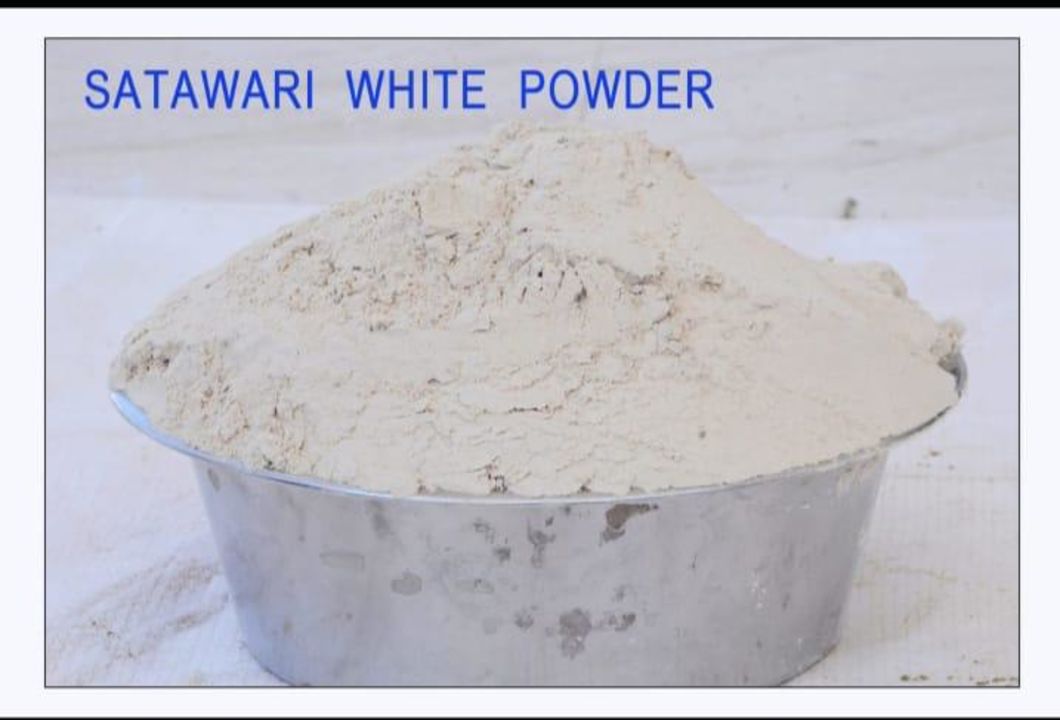 White shatavari powder uploaded by Trisha exports on 2/5/2022