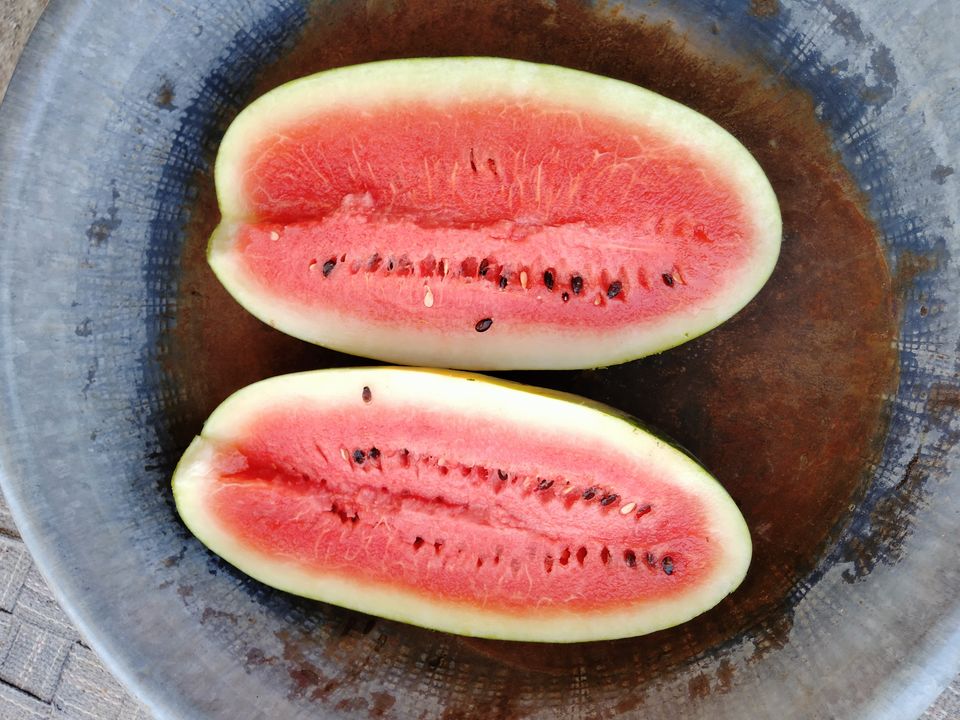 Watermelon uploaded by I KHODAL on 2/5/2022