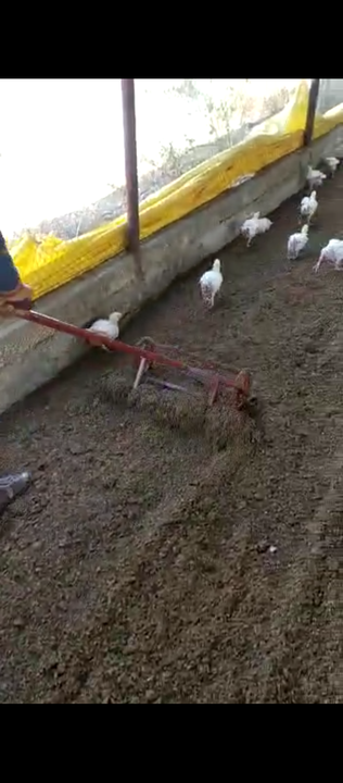 Poultry farming racking machine uploaded by SBS  on 2/8/2022