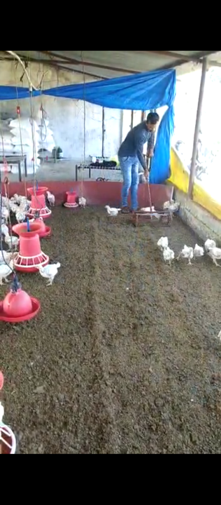 Poultry farming racking machine पोल्टी uploaded by business on 2/8/2022
