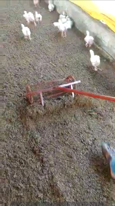 Poultry farming racking machine पोल्टी uploaded by SBS  on 2/8/2022