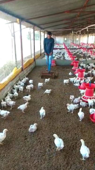 Poultry farming racking machine uploaded by SBS  on 2/8/2022