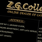 Business logo of Z.g collection