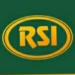 Business logo of RamSanahi Industries