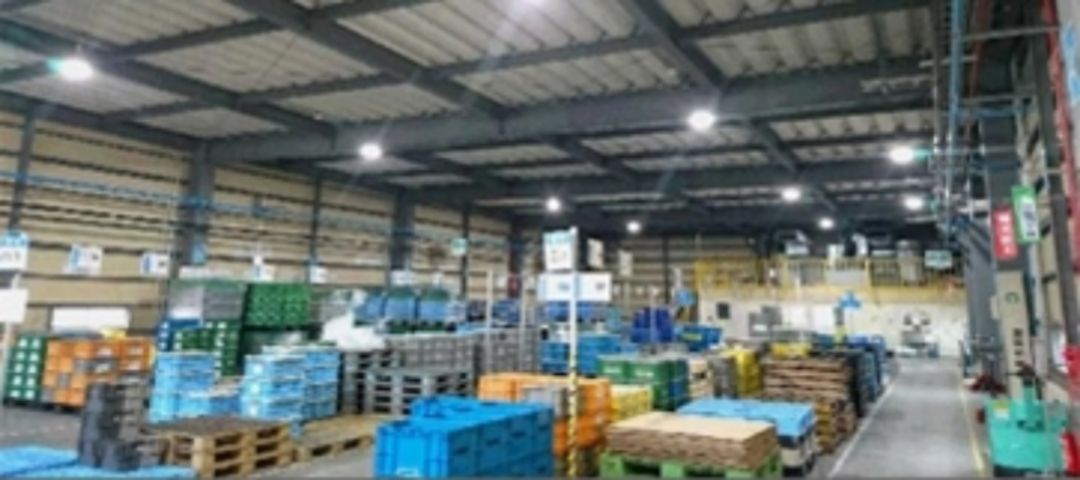 Factory Store Images of ALNOUR LIGHTS