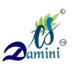 Business logo of DAMINI CREATION