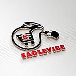 Business logo of EagleVibe Enterprises