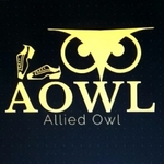 Business logo of Alliedowl Private Limited