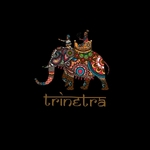 Business logo of Trinetra