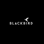 Business logo of Blackbird