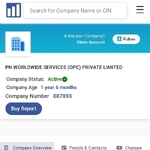 Business logo of PN Worldwide Services (opc) pvt LTD