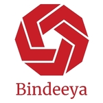 Business logo of Bindeeya