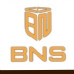 Business logo of BNS LOAN & INSURANCE ADVISOR