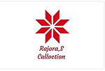 Business logo of Rajoracollection