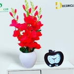 Business logo of DecorCliq
