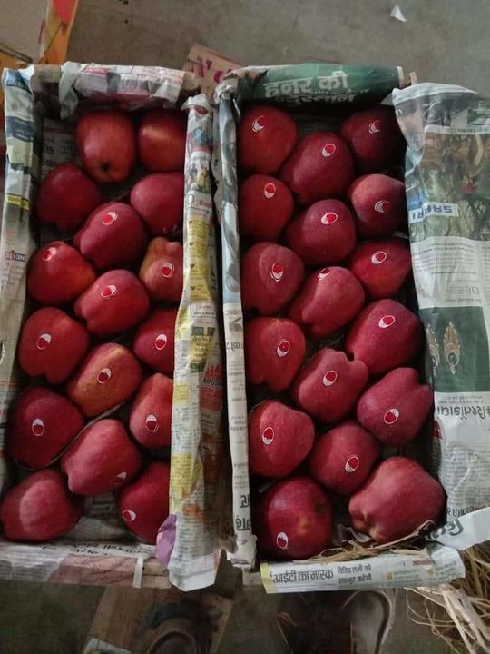 Taste apple uploaded by Bhat fruits on 2/25/2022