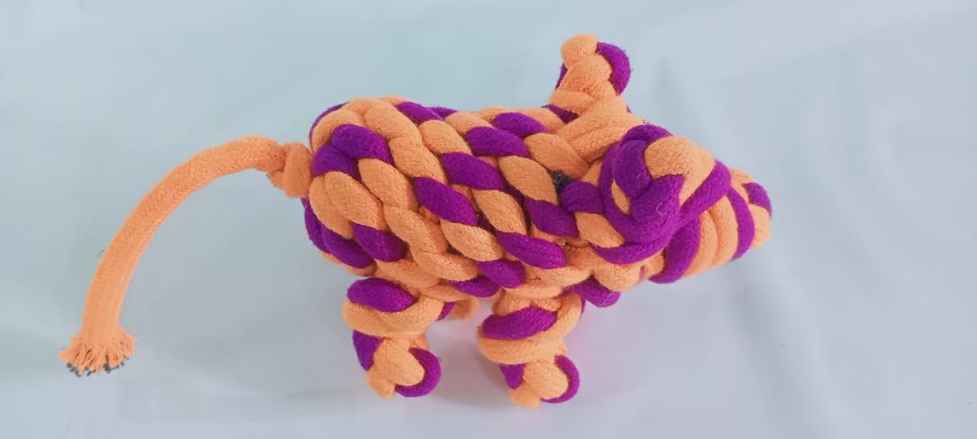 Rope toys for dog uploaded by business on 2/27/2022