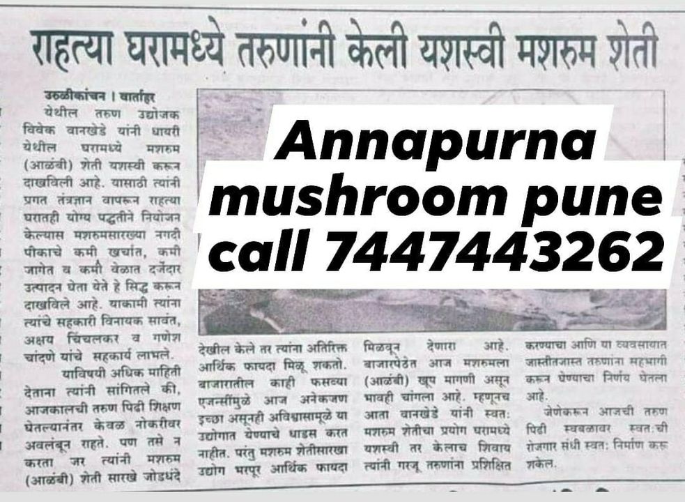 Product uploaded by Annapurna mushroom pune on 3/1/2022